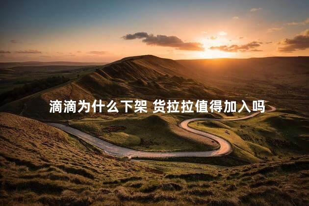 滴滴为什么下架 货拉拉值得加入吗